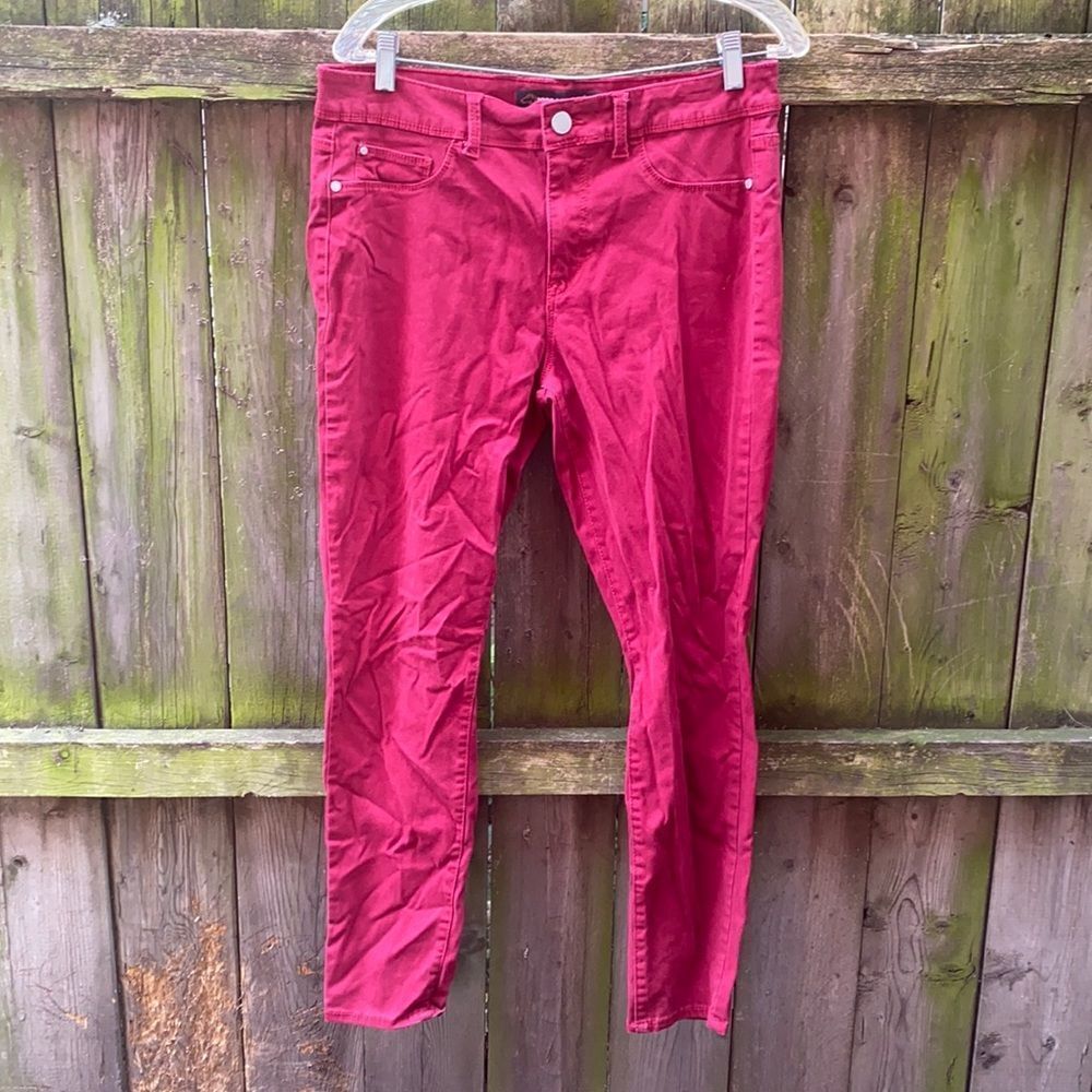 Jordache skinny pants sz. 14